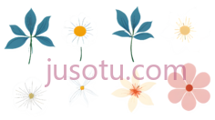 七种花PNG