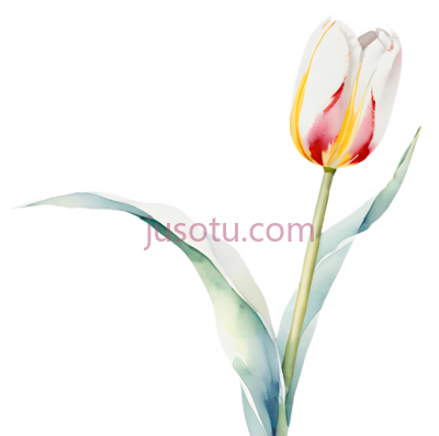 水彩画,郁金香, PNG