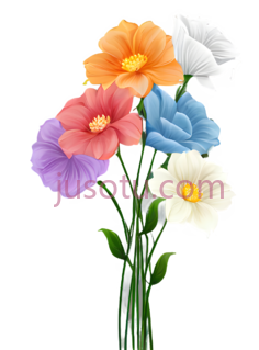 花朵,花色, PNG