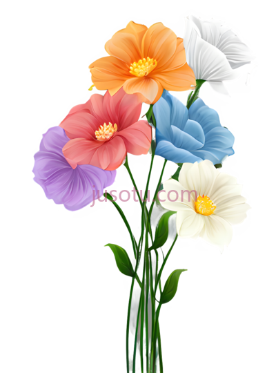 花朵,花色, PNG