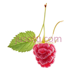 树莓, PNG