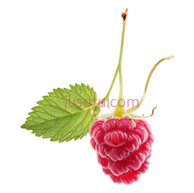 树莓, PNG