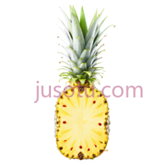 菠萝片PNG