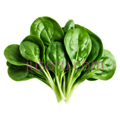 菠菜,叶状,绿色PNG