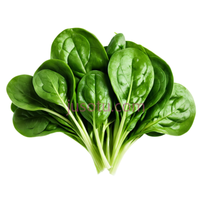 菠菜,叶状,绿色, PNG