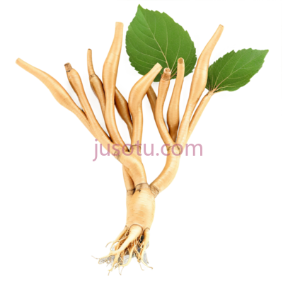 光滑,人参, PNG