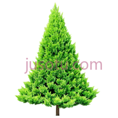 祖母绿PNG