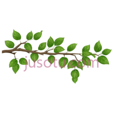 树枝,插画,绿色PNG