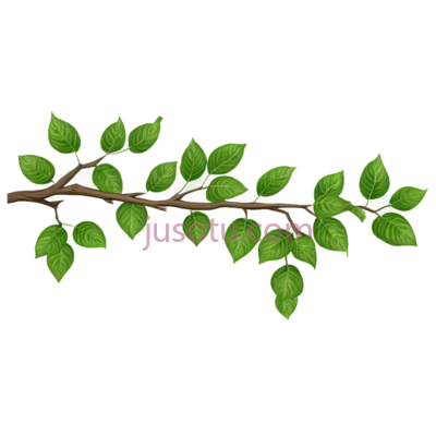 树枝,插画,绿色, PNG