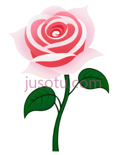 玫瑰,卡通,粉色PNG