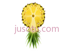 菠萝片PNG