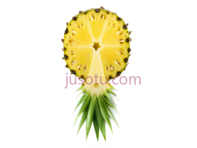 菠萝片, PNG