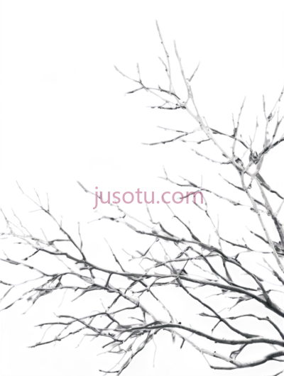 树枝,白色线条画,白色, PNG