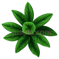 叶子,对称,绿色PNG