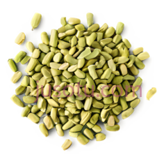 蚕豆,散落,绿色PNG