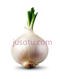 洋葱,去皮PNG