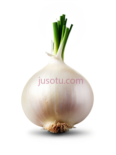 洋葱,去皮, PNG