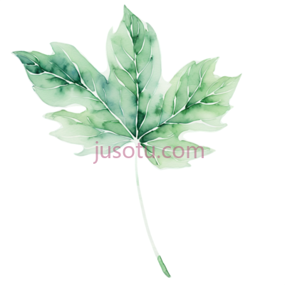树叶, PNG