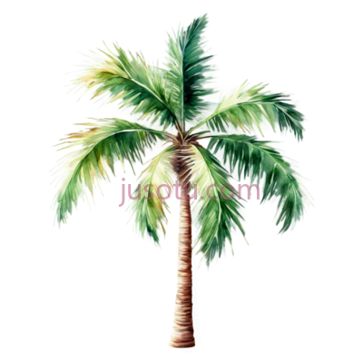 水彩,棕榈树,绿, PNG