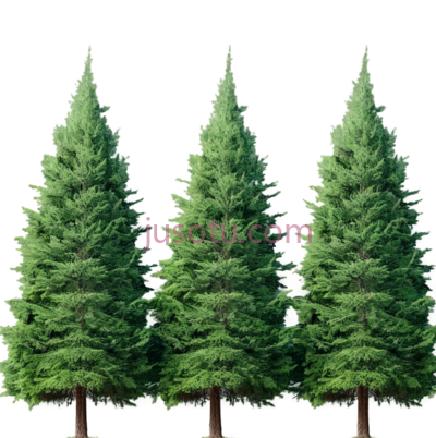 樟树,绿色, PNG