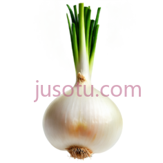 洋葱,去皮,食材PNG