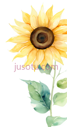 向日葵花瓣PNG