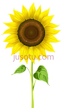 卡通向日葵,花瓣PNG