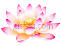 莲花瓣PNG
