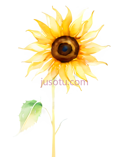 向日葵花瓣,金色, PNG