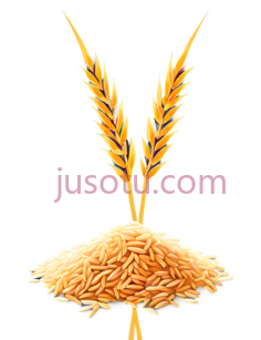水稻PNG