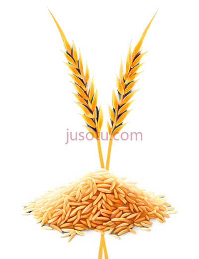 水稻, PNG