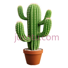 仙人掌,植物,沙漠PNG