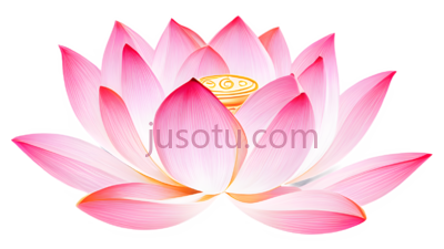 荷花,粉色,金色, PNG