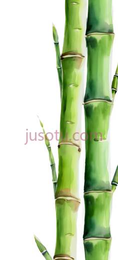 竹笋PNG