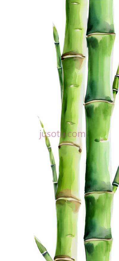 竹笋, PNG