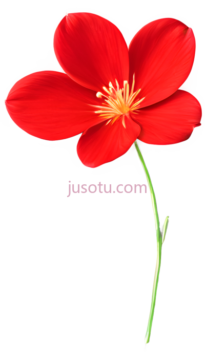 红色花瓣, PNG