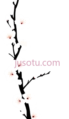 樱花,蕾丝PNG