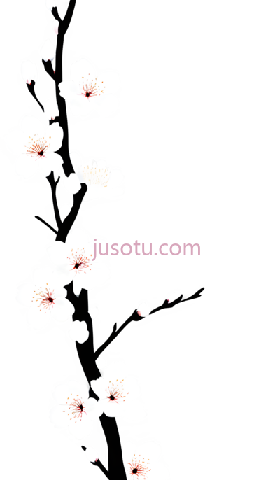 樱花,蕾丝, PNG