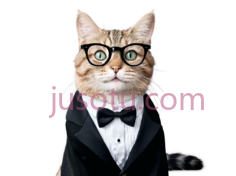 猫,正式,黑色,白色PNG