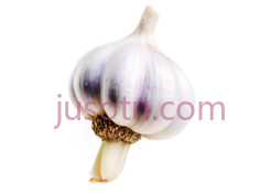 大蒜PNG