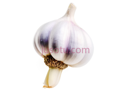 大蒜, PNG