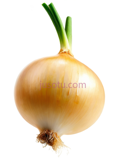 黄色洋葱, PNG