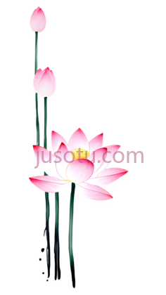 莲花莲蓬茎PNG