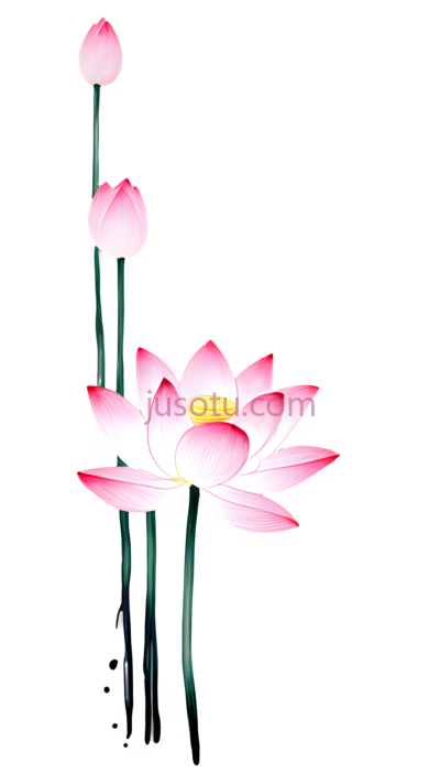 莲花莲蓬茎, PNG
