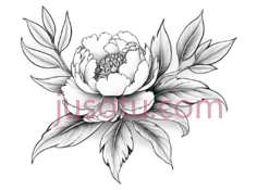 花,线条画,黑白PNG