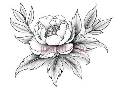 花,线条画,黑白, PNG