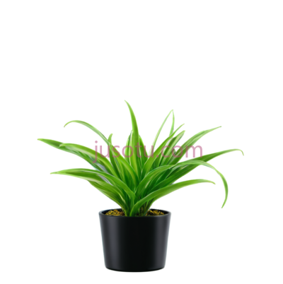 植物, PNG