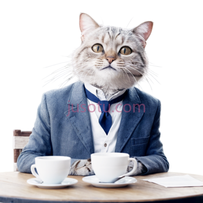 猫,商务,灰色,白色, PNG