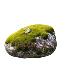 岩石,青苔PNG
