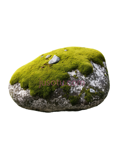 岩石,青苔, PNG